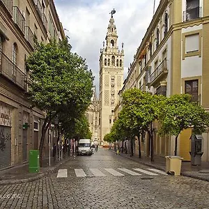 Backpackers Utopia , Sevilla España